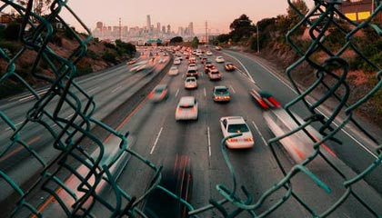 从茶园到茶桌：广佛精品茶室的选茶标准